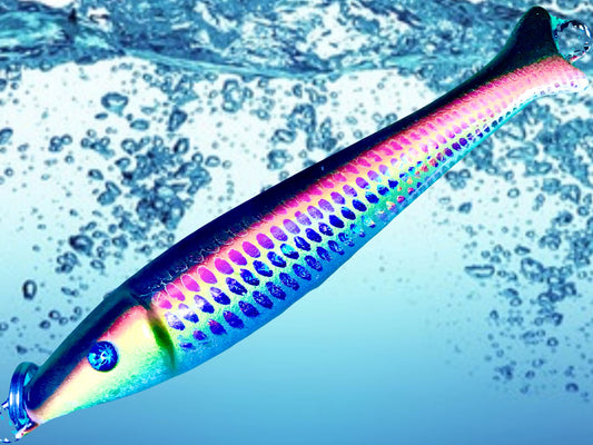 Pilker Klassik Tangdorsch